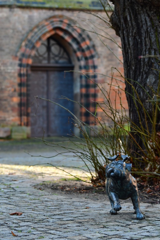 2026-01-08 Brandenburg an der Havel/Waldmöpse/DSC_2275.JPG